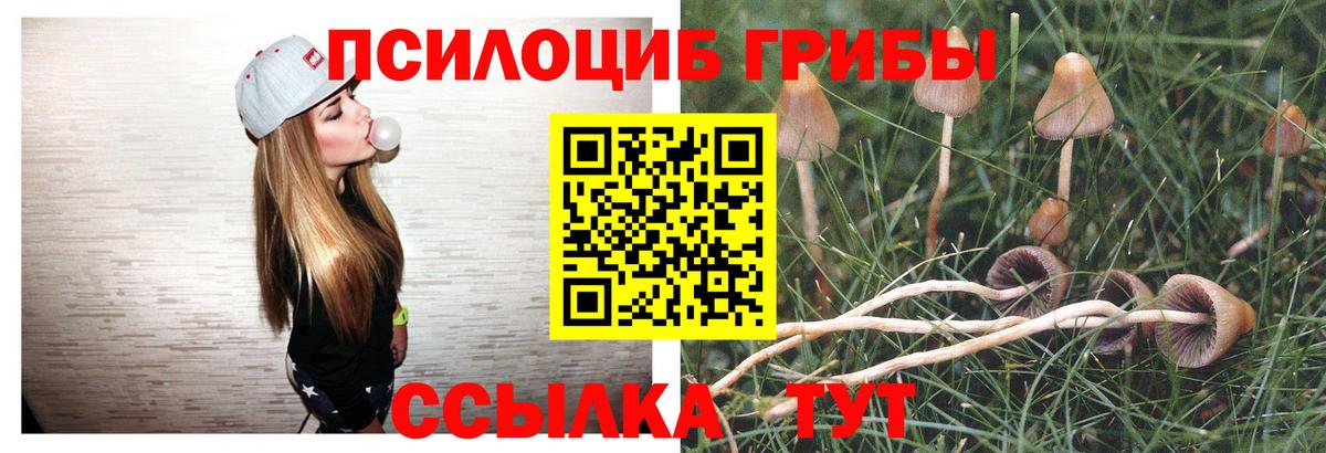 Псилоцибиновые грибы GOLDEN TEACHER Сорочинск
