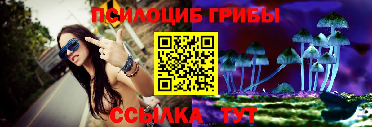 Галлюциногенные грибы мухоморы  Вход с VPN  Сорочинск  Псилоцибиновые грибы GOLDEN TEACHER 